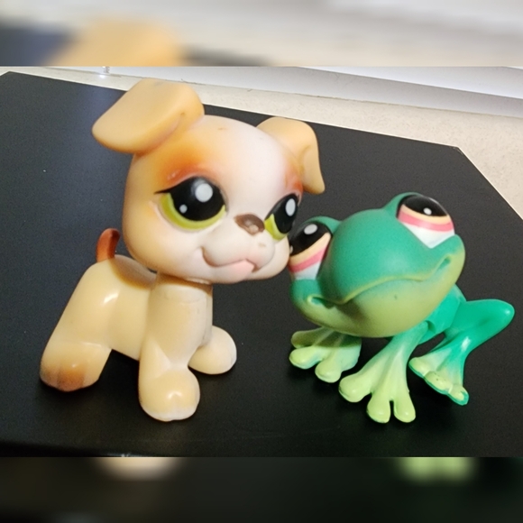 Littlest Pet Shop Authentic Bundle  (10) - Picture 7 of 11